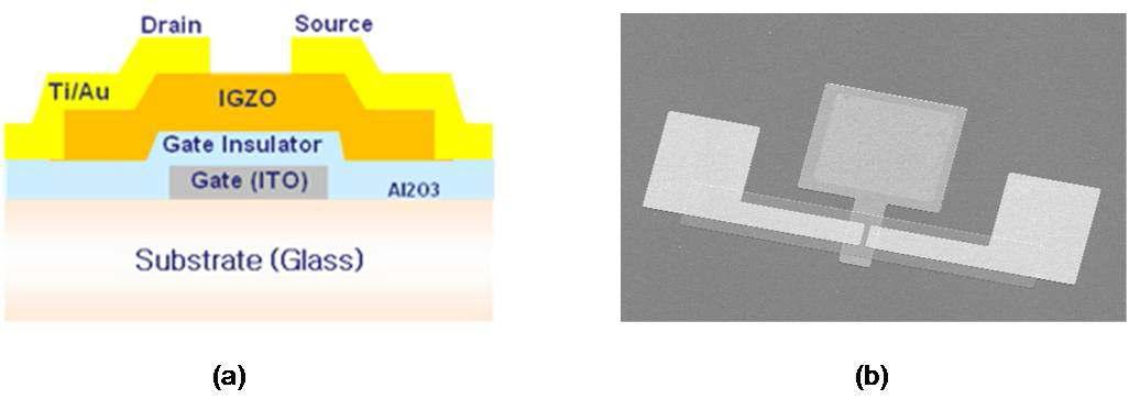 InGaZnO4 기반 박막전자소자의 (a) 구조 (b) SEM 사진