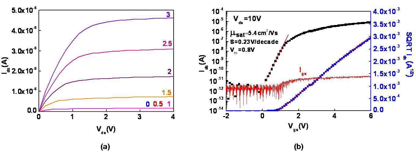 InGaZnO4 박막전자소자의 (a) 출력 특성 (b) transfer 특성