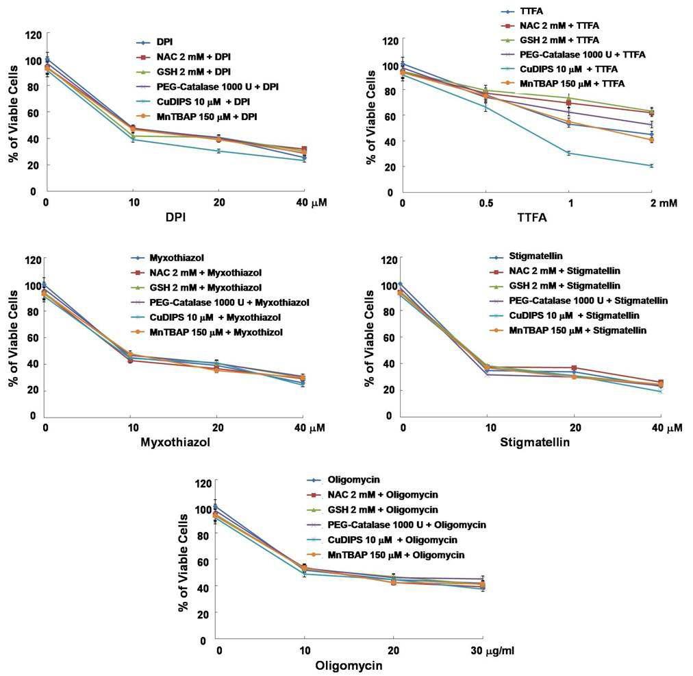 Mitochondrial complex inhibitor들에 의한 세포 사멸 유도 시 다양한 antioxidants 선 처리 효과 분석