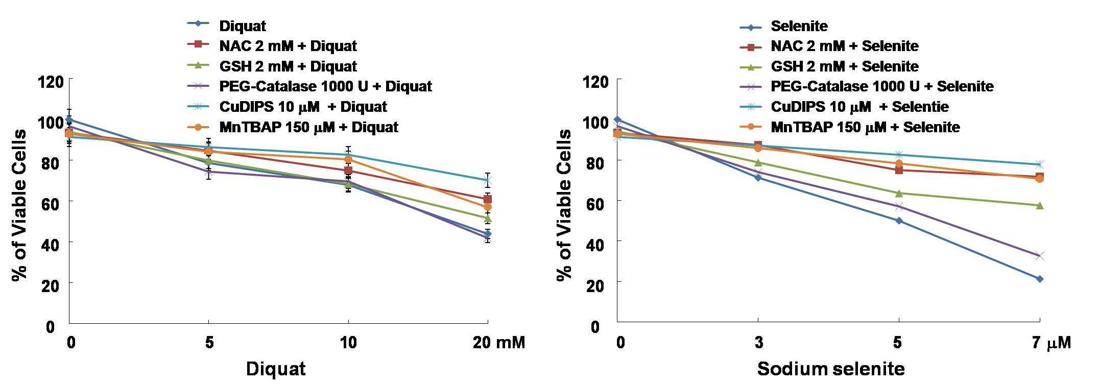 Diquat 또는 selenite에 의한 세포 사멸 유도 시 다양한 antioxidants 선 처리 효과 분석