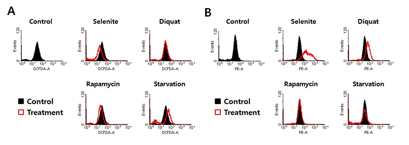 각 autophagy inducer에 의한 H2O2와 mitochondrial superoxide의 생성 비교