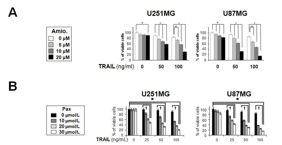 Amiodarone과 paxilline 의 TRAIL 매개 세포 사멸 감작 효과