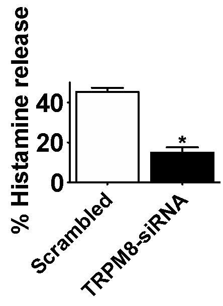 Menthol에 의한 Histamine 유리