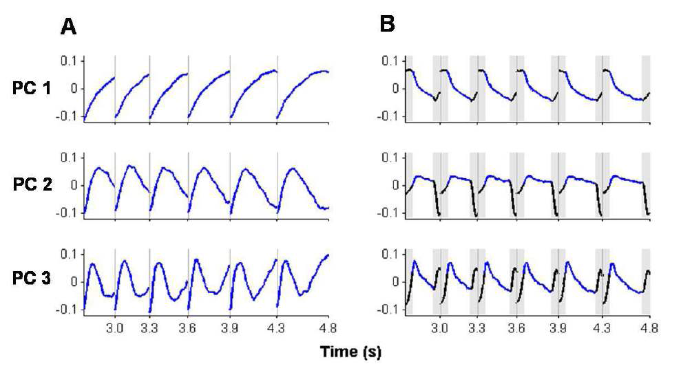 주요인분석 결과의 확인. (A) 그림 22의 결과를 확인하기 위해 time interval 초기 300 ms를 제거 하고(time interval onset stimulus의 영향을 제거) 주요인분석 시행. (B) Time interval 전후 1초씩을 포함 해서 주요인분석 시행. 모든 경우에 PC1은 time interval 동안 서서히 변화하며(monotonic change) 로그 함 수로 잘 기술됨.