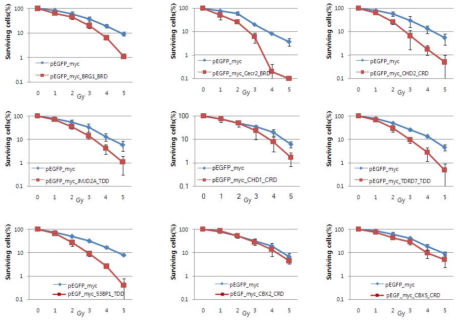Colony formation assays를 수행하여 1차 스크리닝에서 g-H2A X upstream에서 block 하는 것으로 선별된 5종류의 domain의 DNA damage 후 세포생존율 억제력 재확인.