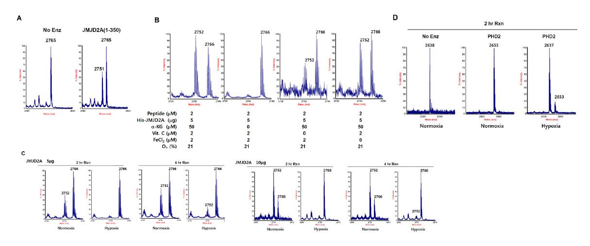 Demethylase reaction of H3K9me3 by recombinant JMJD2a protein