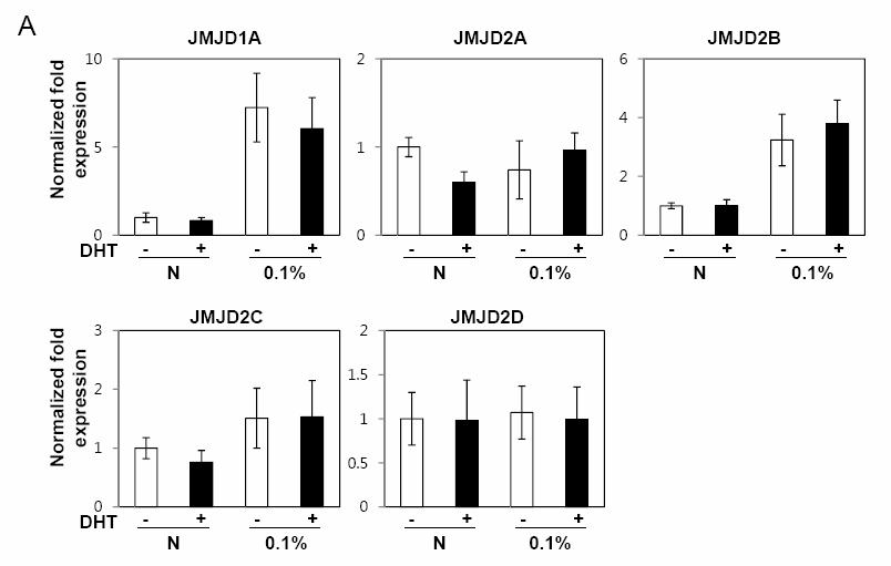 Induction of JmjC domain containing histone demethylases by hypoxia