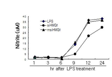 microglia 세포주인 BV2 세포주에 LPS를 처리한 후, 시간 경과에 따른 NO 분비를 조사함.