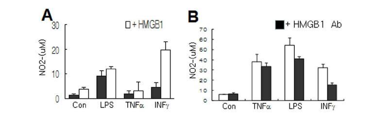 microgia 세포주인 BV2 세포주에서 HMGB1을 LPS, TNFa, IFNg와 함께 처리한 후 microglia 활성 조사 (A). LPS,TNFa, IFNg를 HMGB1 항체와 함께 처리한 후 microglia 활성억제 조사 (B)