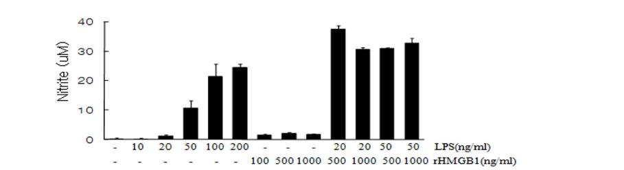 BV2 세포주에서 HMGB1와 LPS의 염증 유도 synergy 효과조사