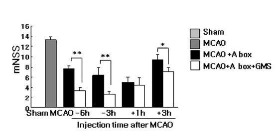 MCAO 동물 모델에 HMGB1 A box 5 ug/ml을 occlusion 6, 3 시간전 또는 1, 3시간 후에 투여하고 24시간 후mNSS를 조사함