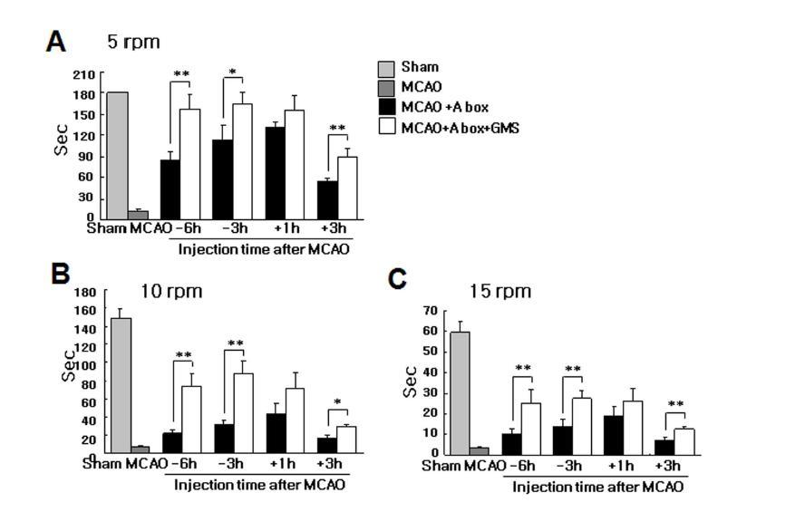 MCAO 동물 모델에 HMGB1 A box 5 ug/ml을 occlusion 6, 3 시간전 또는 1, 3 시간 후에 투여하고 24시간 후 rota rod test (B)를 수행함