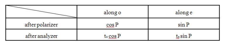 Polarizer와 analyzer를 통과한 e와 o 방향의 전기장의 크기