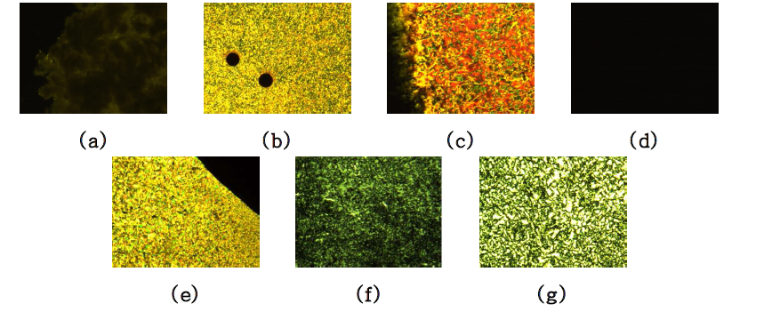 Cross-polarized optical micrographs (x250)