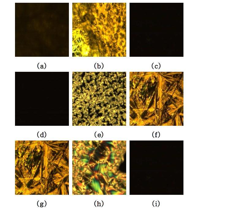 Cross-polarized optical micrographs for compound 8-1 (x200)