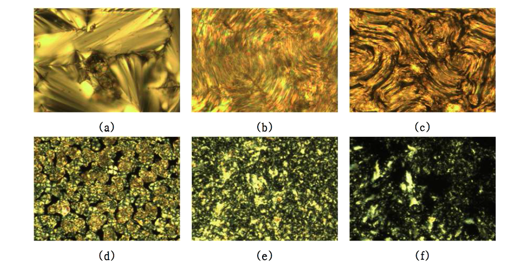 Cross-polarized optical micrographs (x250): compound 10-1