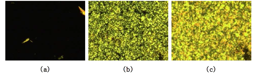 Cross-polarized optical micrographs of polymer 13-4, magnification of ×100