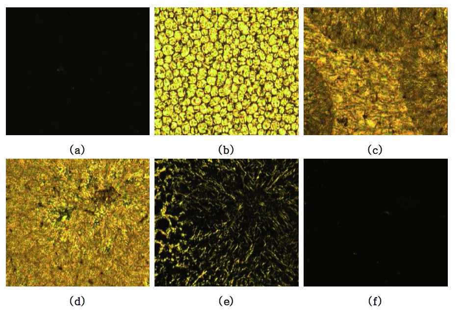 Cross-polarized optical micrographs of polymer 13-6, magnification of ×100