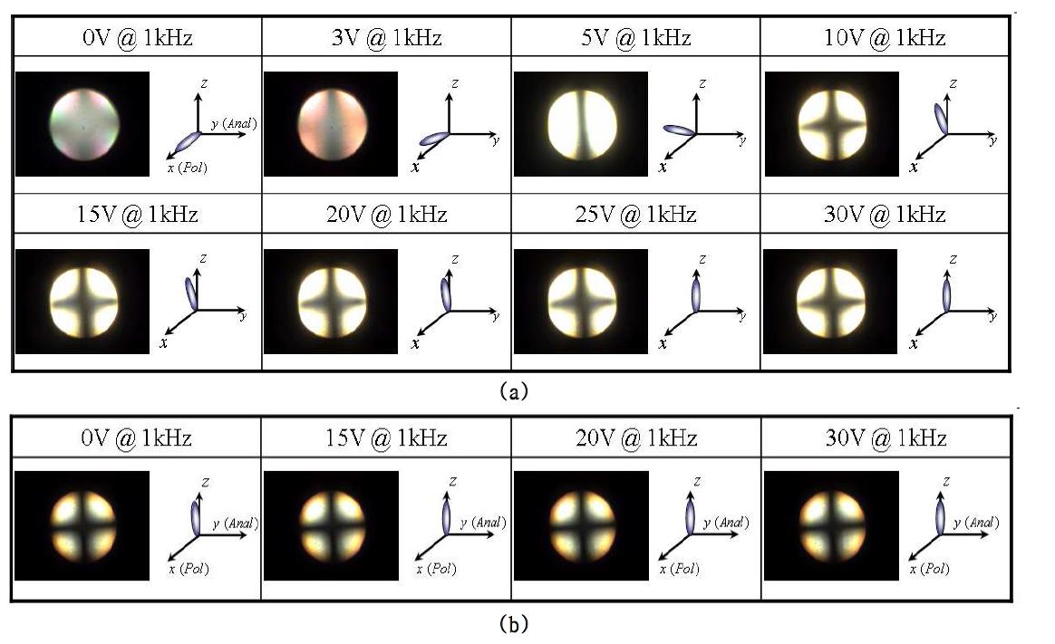 인가 전압 세기에 따른 (a) 수평 및 (b) 수직 배향된 액정 셀의 conoscopy 변화.