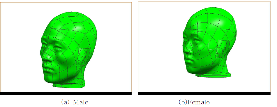 Design of the averaged Korean dummy heads