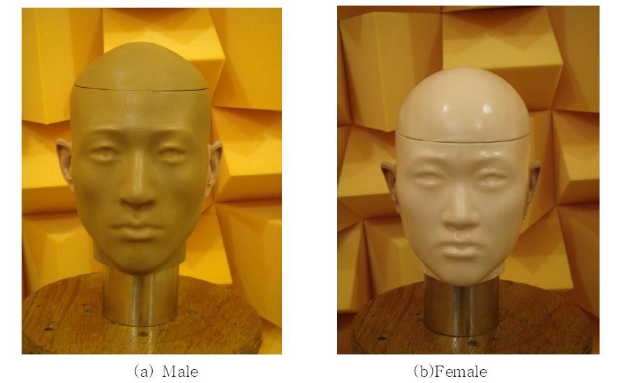 The averaged Korean dummy heads for HRTF measurement