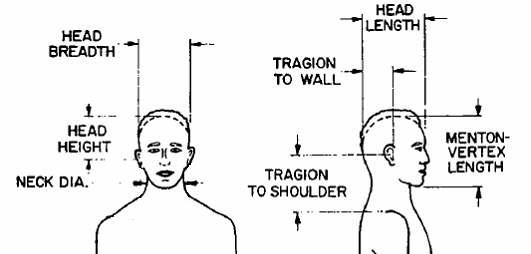 Antropometric measures of the head dummies