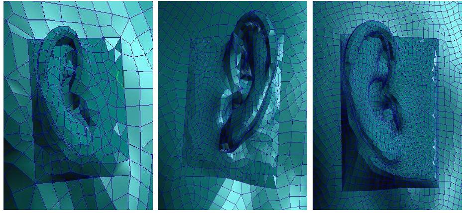 Boudnary element meshes for ear with different mesh sizes