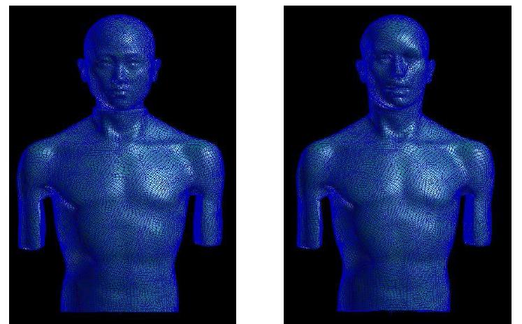 Boundary element meshes for Korean female and KEMAR