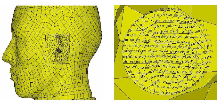 SYSNOISE boundary element model and defined field points at ear