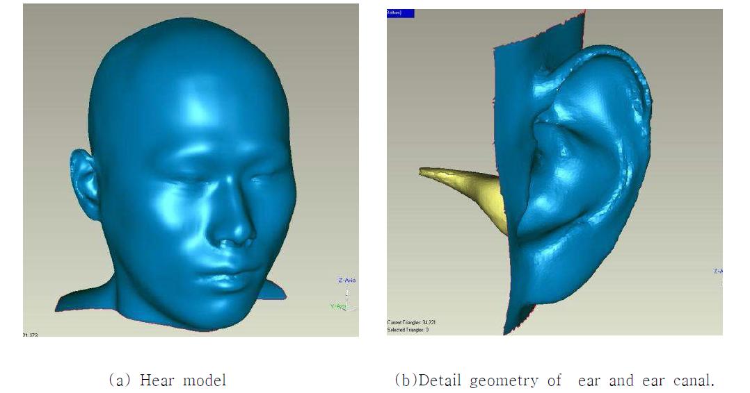 Development of head geometry of a male from CT scan