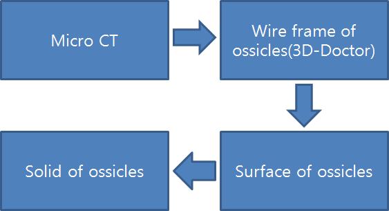 Three-dimensional geometric modeling process for ossicles