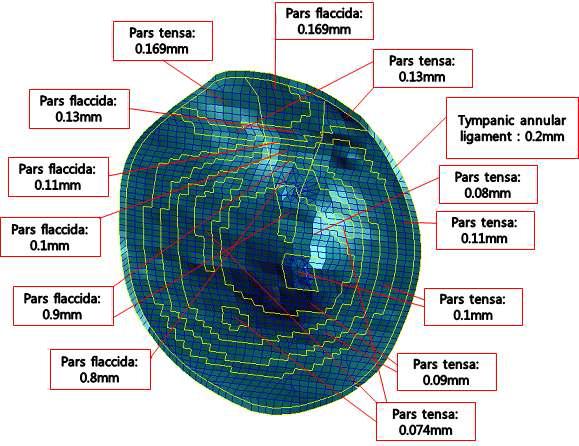 Thickness of tympanic membrane used for the middle ear FE model