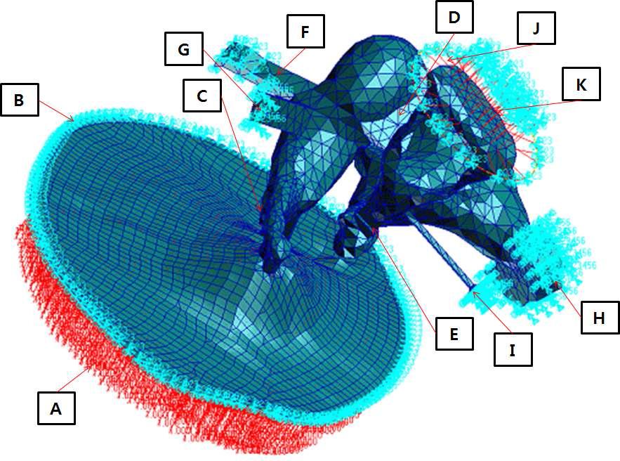 Finite element model of middle ear with boundary condition