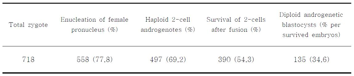 In vitro development of diploidized androgenetic murine embryos