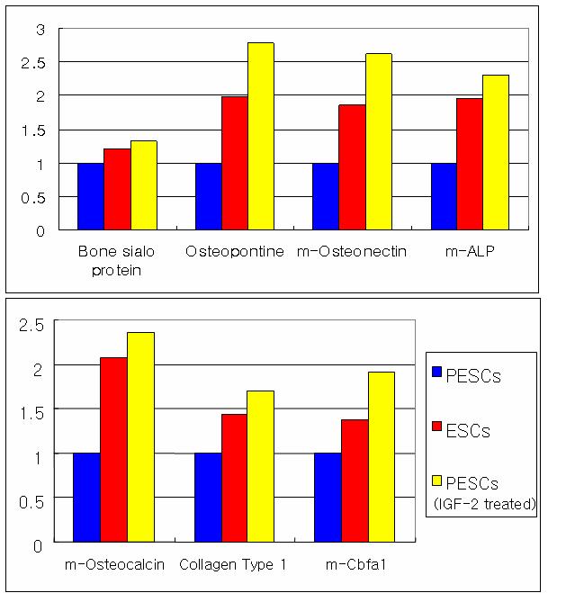 배아체 (EB) 형성 시 첨가된 IGF-2에 의해 변화된 골형성 관련 유전자의 발현양상 (골형성관련 유전자 발현량 증가; PESCs: 단위발생배아줄기세포, ESCs: 정상수정란 배아줄기세포).