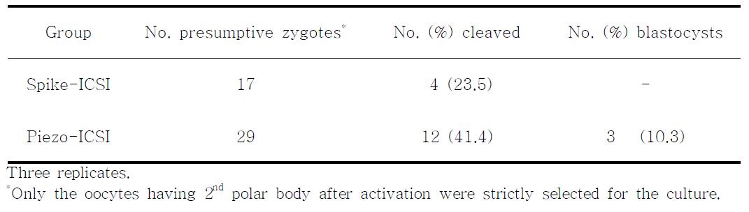 Spike-와 Piezo-ICSI 방법에 있어 분화와 배반포 발달에 미치는 영향