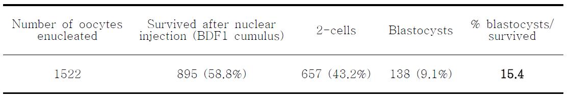 In vitro development of nuclear transfer murine embryos using cumulus cells from BDF1 strain mice as donor nuclei