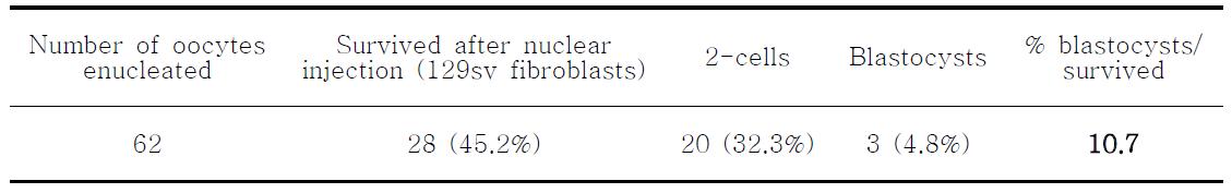 In vitro development of nuclear transfer murine embryos using fibroblast cells from 129sv strain mice as donor nuclei