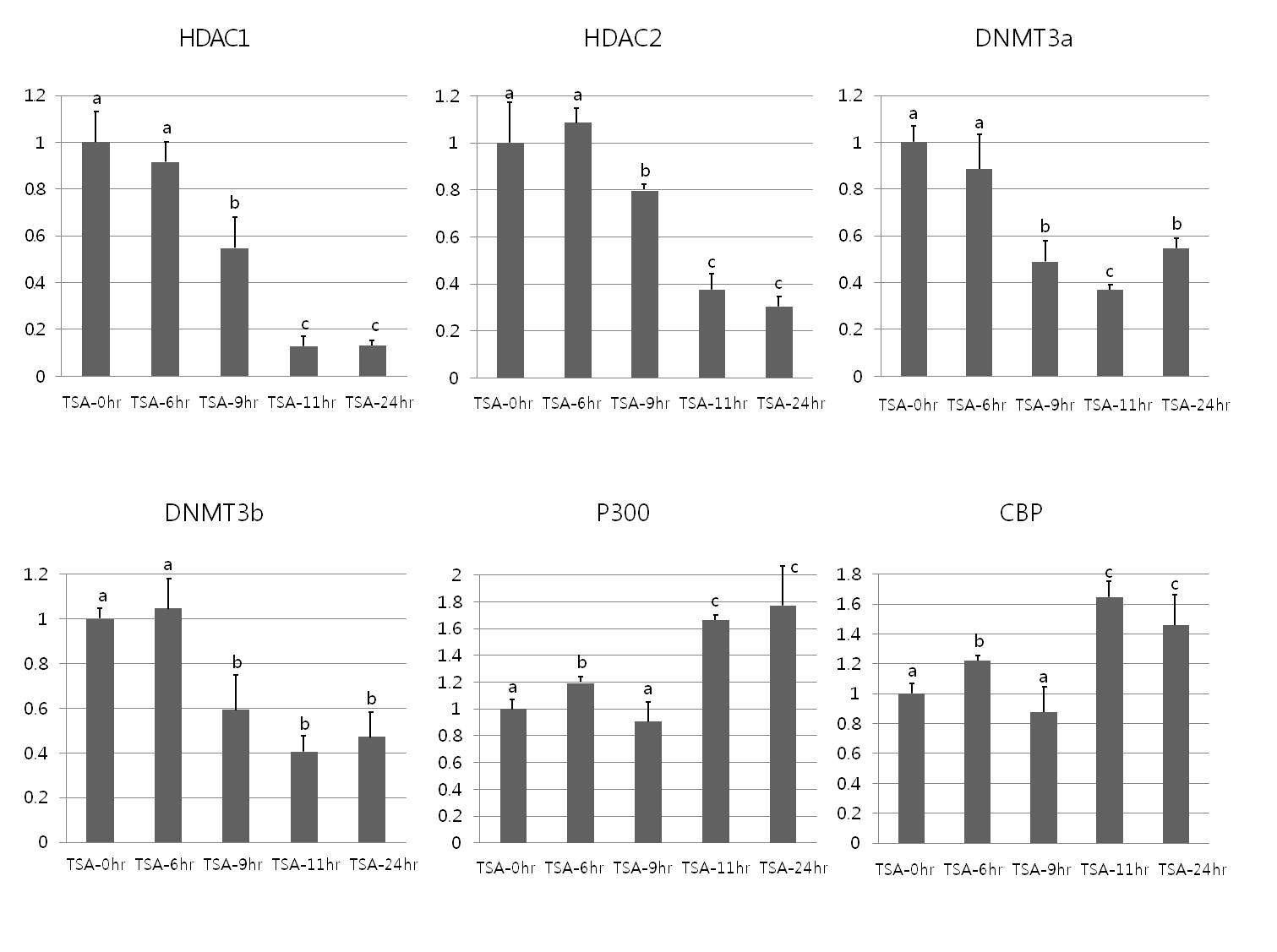 The expression levels of histone modification (HDAC1, HDAC2, P300 and CBP) and DNA methylation (DNMT3a, DNMT3b)-related genes after TSA treatment for different durations. a,b,cValues without a common superscript differ (P<0.05).