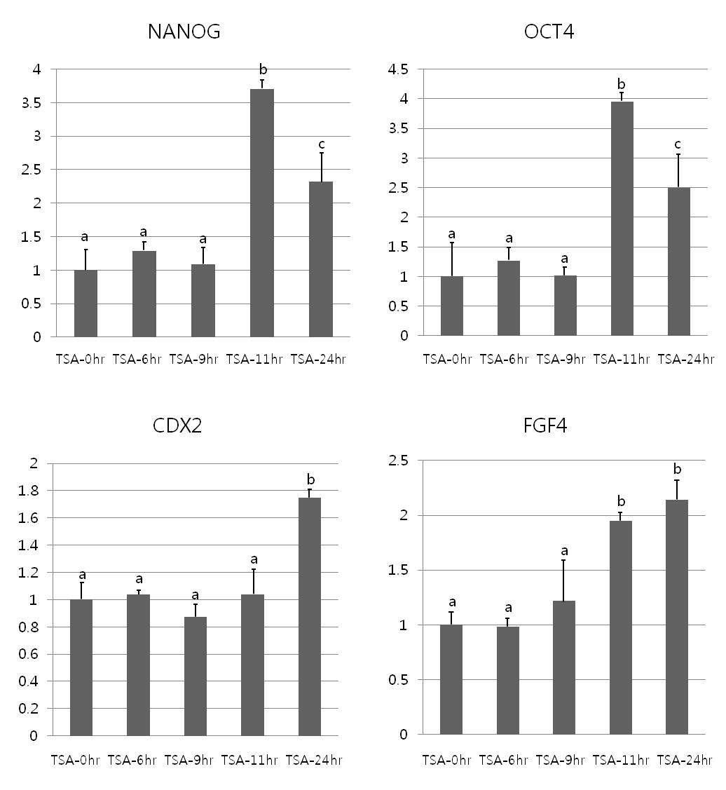 The expression levels of pluripotency (OCT4, NANOG) and early embryonic development (FGF4, CDX2)-related genes after TSA treatment for different durations. a,b,cValues without a common superscript differ (P<0.05).