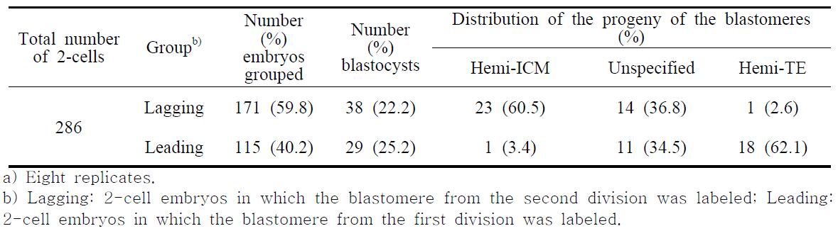 Distribution of blastomere progeny in parthenogenetic porcine embryos after labeling with red fluorescent dye, DiI, of single blastomeres from 2-cell embryos