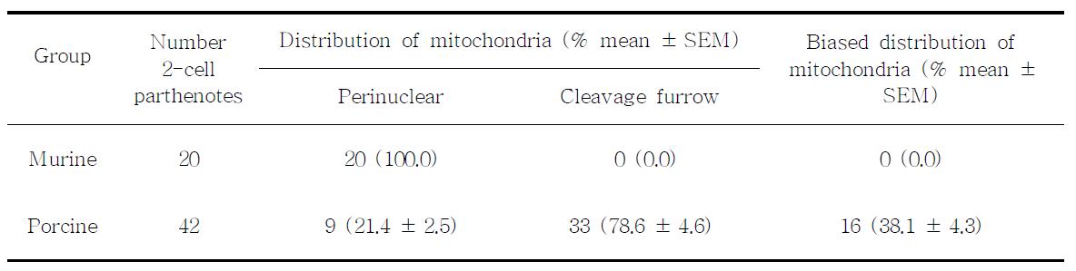 Differential distribution of mitochondria in murine and porcine 2-cell parthenotes