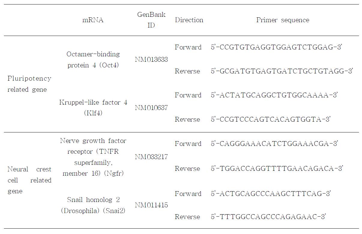피부전구세포에서 유전자 분석에 사용된 프라이머