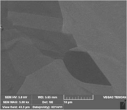 CVD로 성장된 그래핀 시료의 SEM 사진.