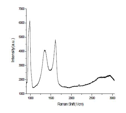 Si(100) 위에 900 C에서 성장시킨 탄소초박막의 라만신호