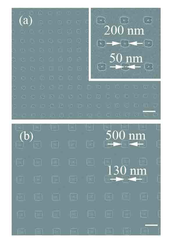 200 nm와 500 nm의 사각형 패턴에 집속 패턴된human IgG