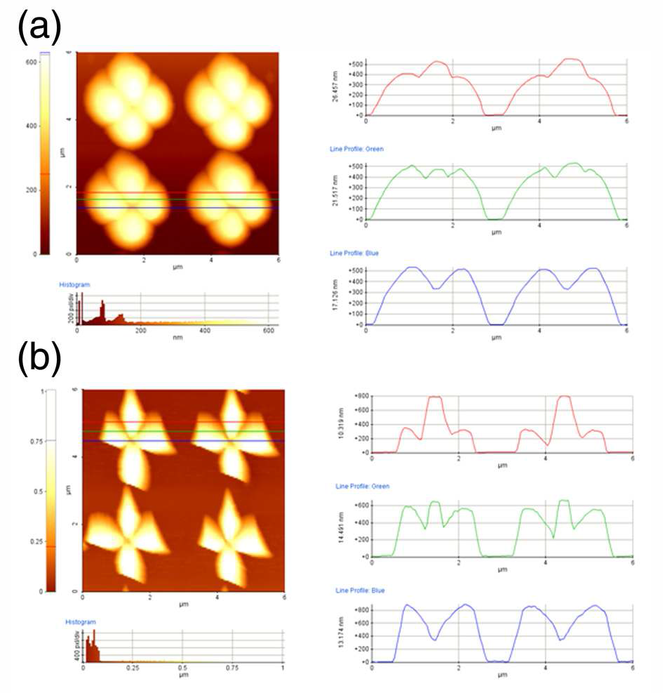 나노입자 구조물의 AFM 측정 결과.