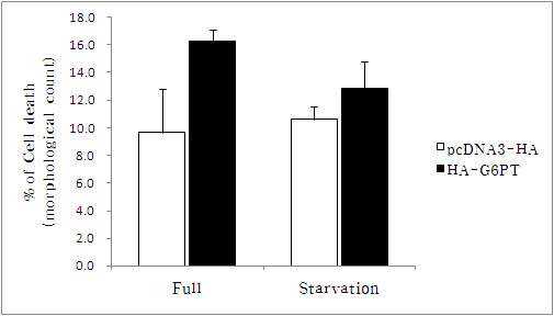 serum-deprivation에 의한 cell death조사.