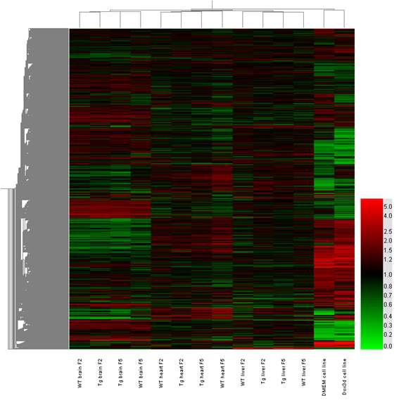 Total sample (hierarchical clustering