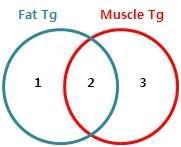 Ven diagram으로 본 2개 그룹 비교